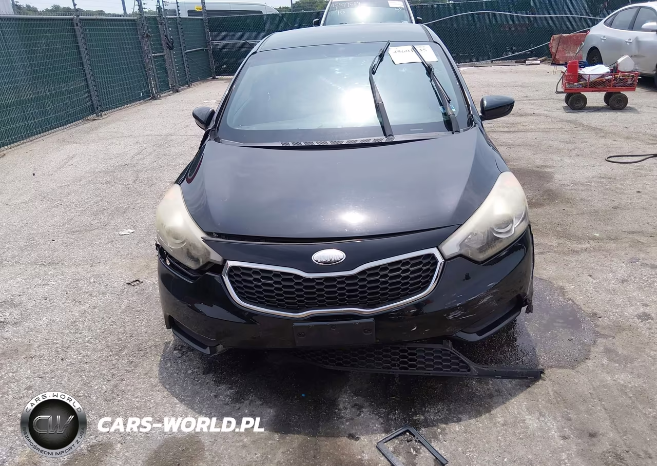 2014 Kia Forte Lx VIN:KNAFK4A69E5077021 - 12