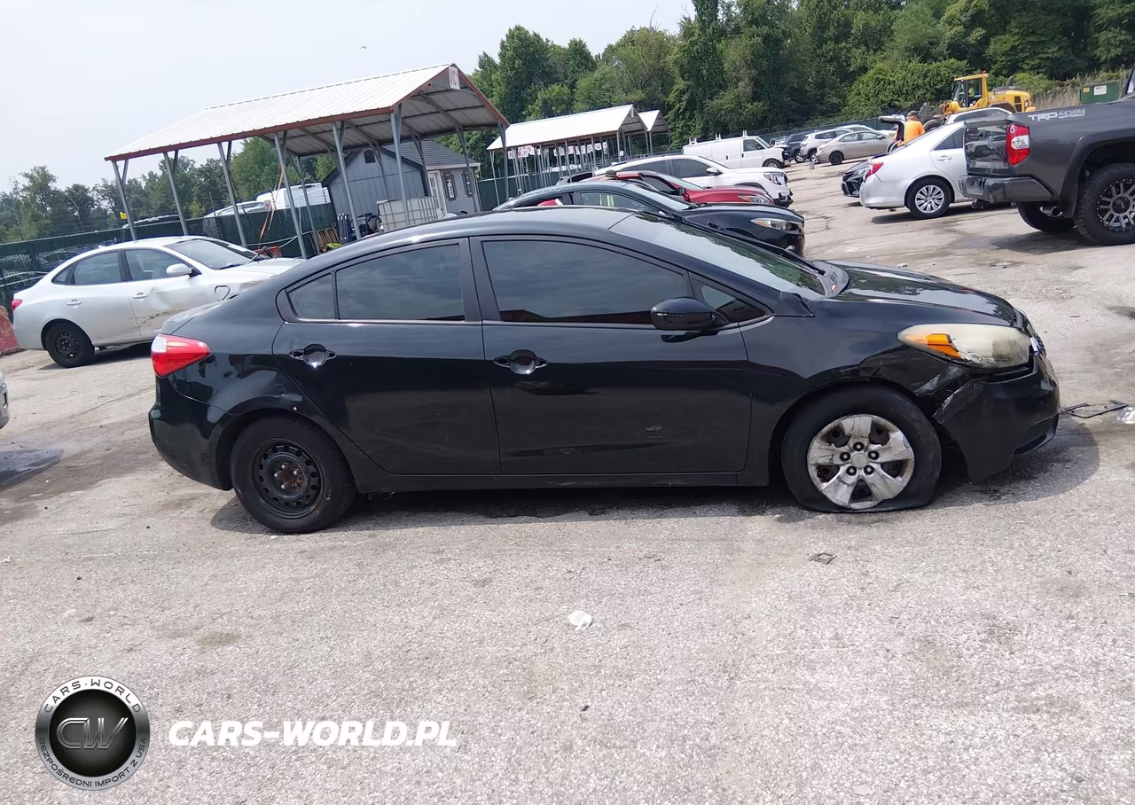 2014 Kia Forte Lx VIN:KNAFK4A69E5077021 - 13