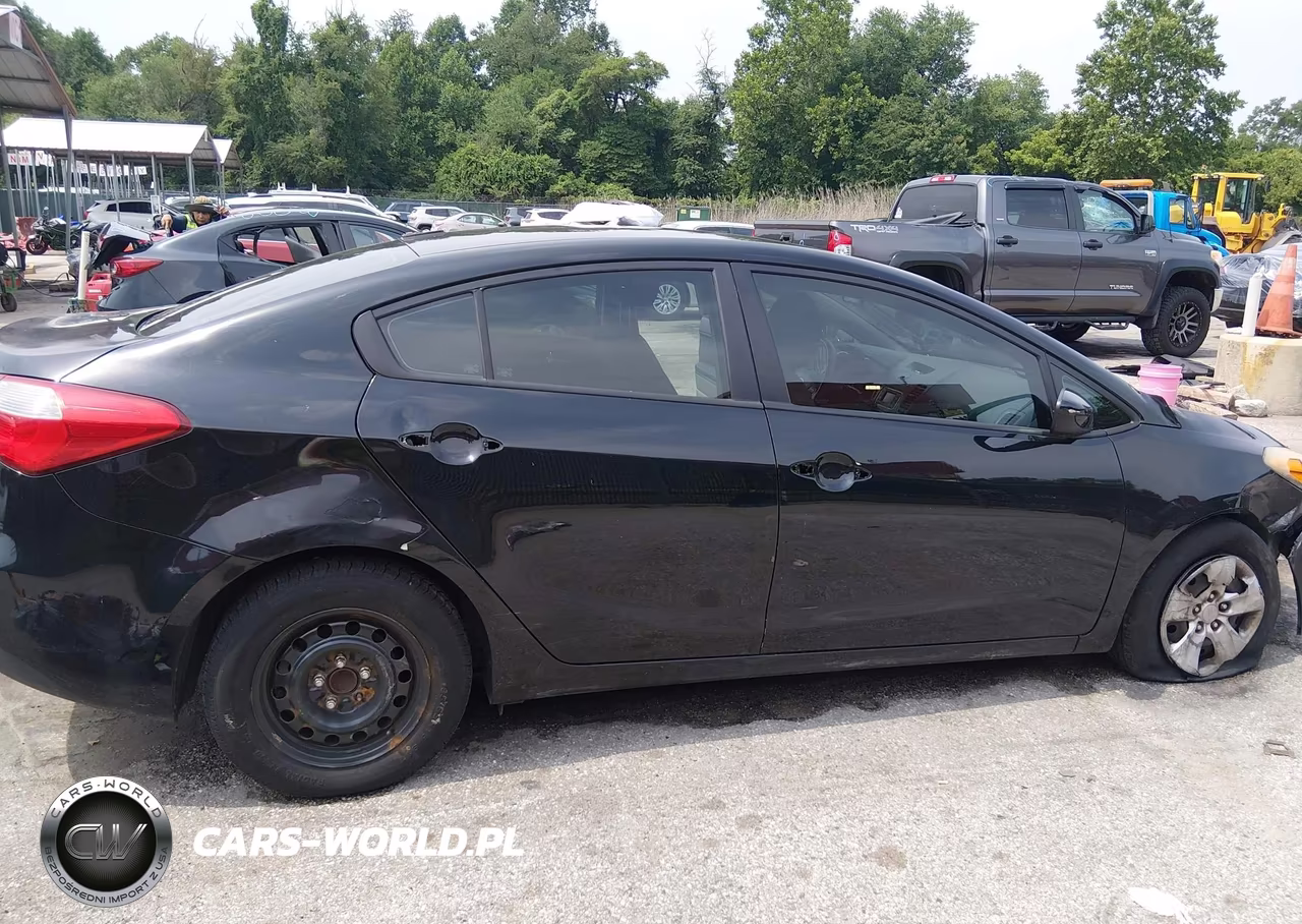 2014 Kia Forte Lx VIN:KNAFK4A69E5077021 - 6