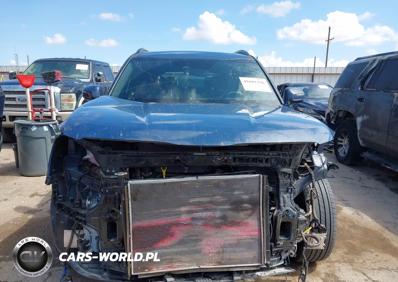 2025 Kia Telluride Sx X-Line VIN:5XYP5DGC8SG568582 - 13