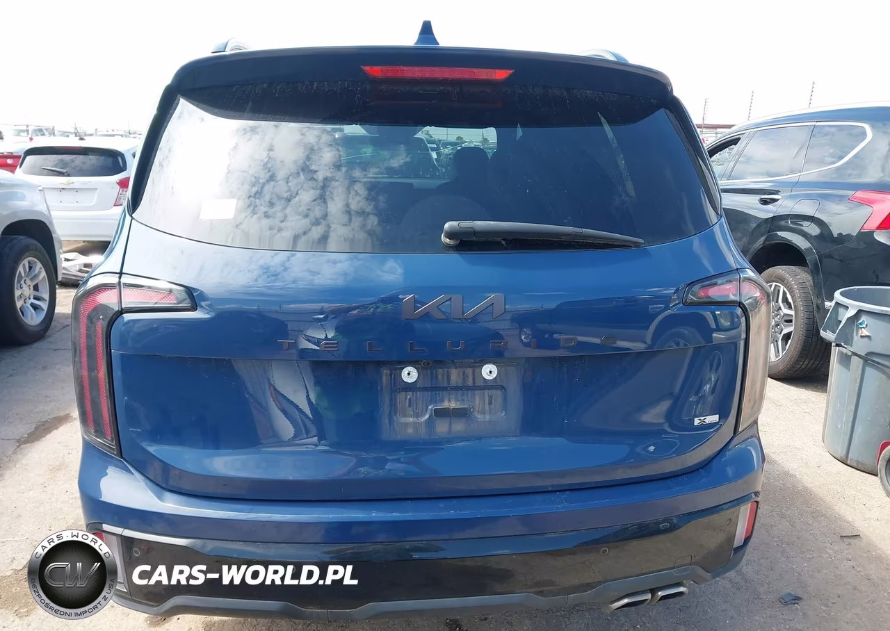 2025 Kia Telluride Sx X-Line VIN:5XYP5DGC8SG568582 - 17