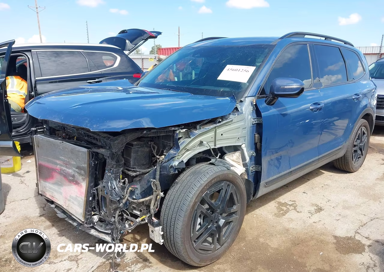 2025 Kia Telluride Sx X-Line VIN:5XYP5DGC8SG568582 - 2