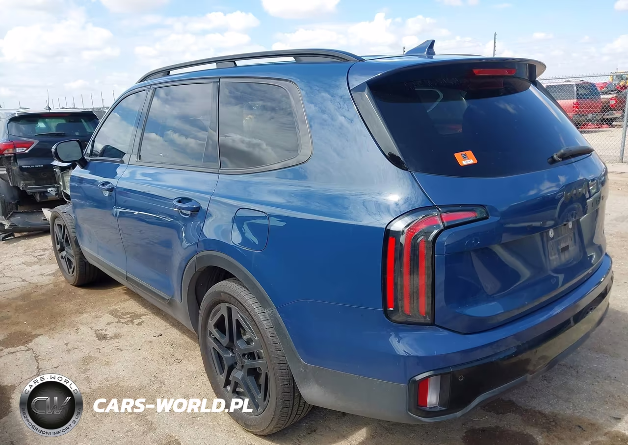 2025 Kia Telluride Sx X-Line VIN:5XYP5DGC8SG568582 - 3