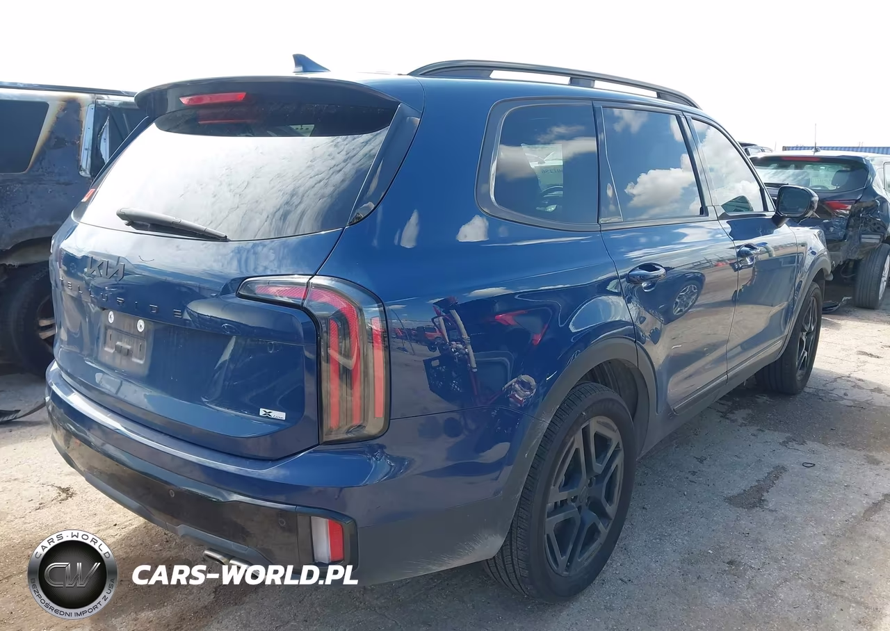 2025 Kia Telluride Sx X-Line VIN:5XYP5DGC8SG568582 - 4