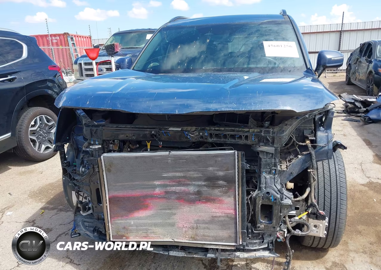 2025 Kia Telluride Sx X-Line VIN:5XYP5DGC8SG568582 - 6