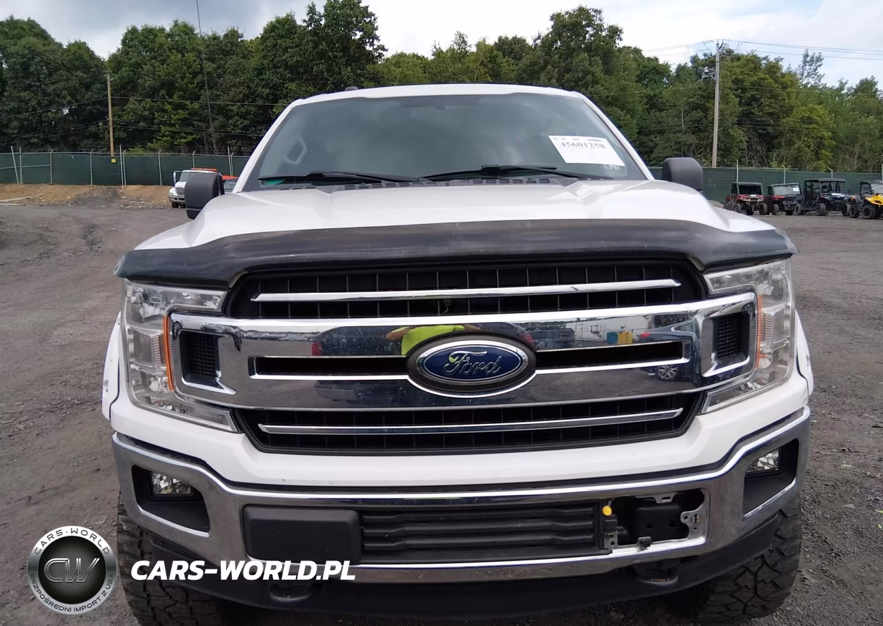 2018 Ford F-150 King Ranch-Lariat-Platinum-Xl-Xlt VIN:1FTEW1E51JFA63699 - 12