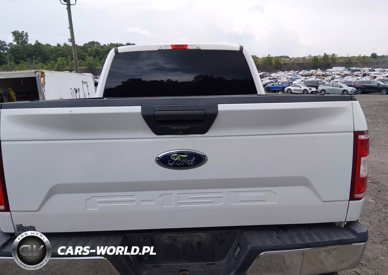 2018 Ford F-150 King Ranch-Lariat-Platinum-Xl-Xlt VIN:1FTEW1E51JFA63699 - 16