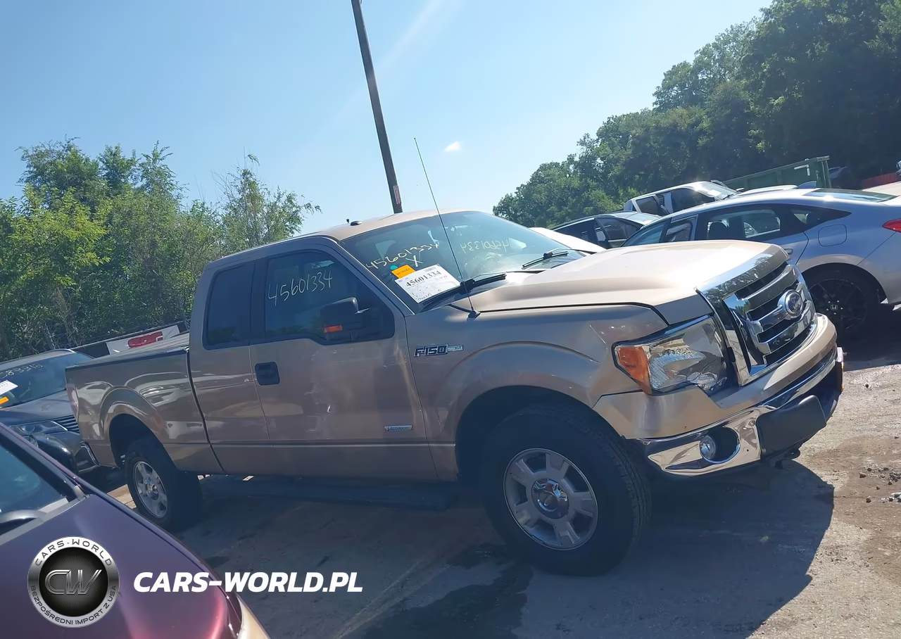 2011 Ford F-150 Xlt VIN:1FTFX1ET5BKD71306 - 13