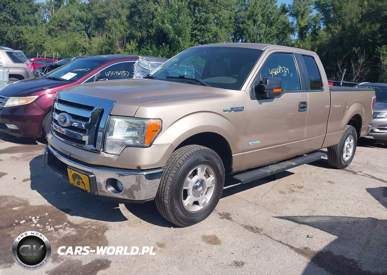 2011 Ford F-150 Xlt VIN:1FTFX1ET5BKD71306 - 2
