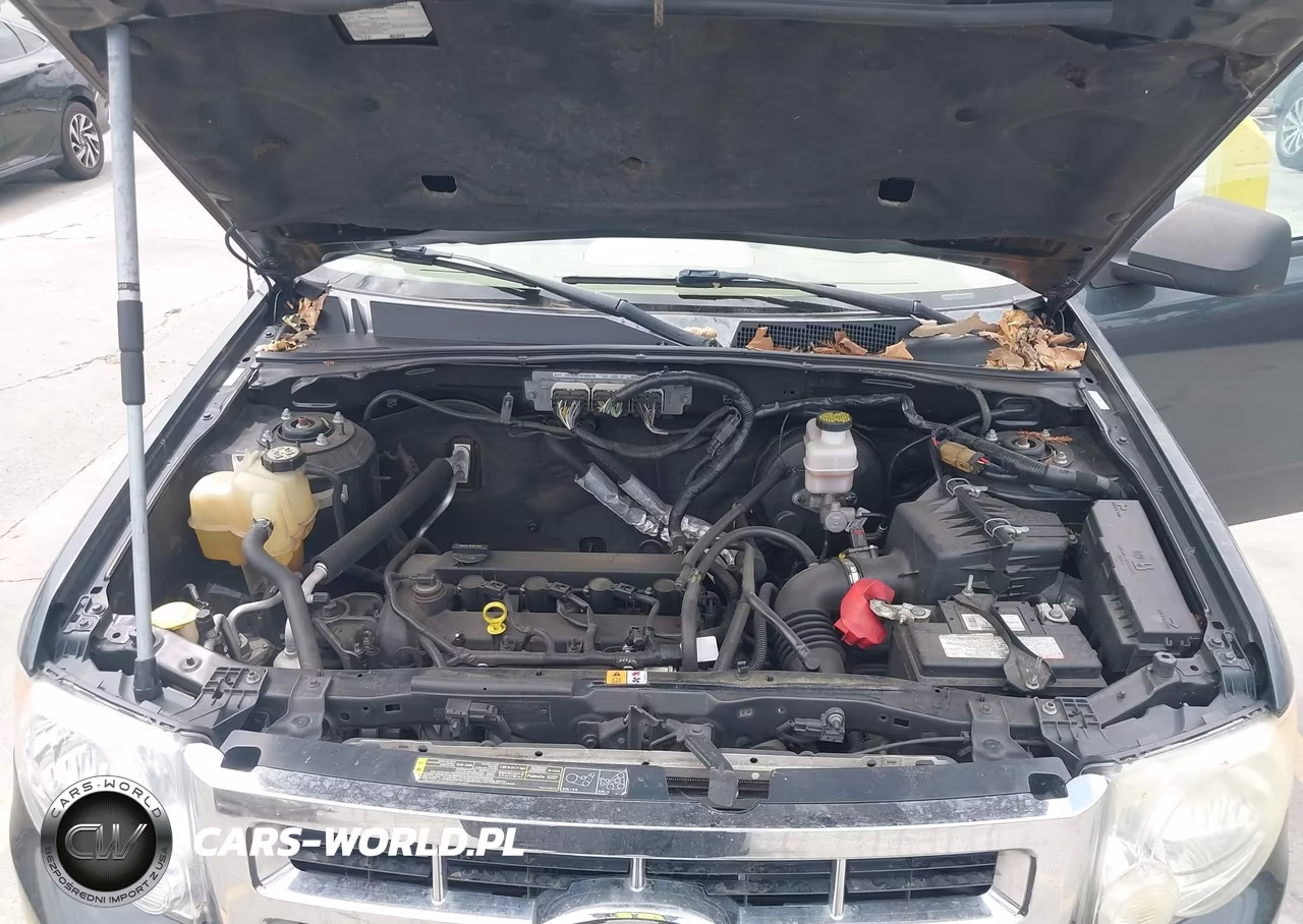 2009 Ford Escape Xlt VIN:1FMCU03799KB19950 - 10