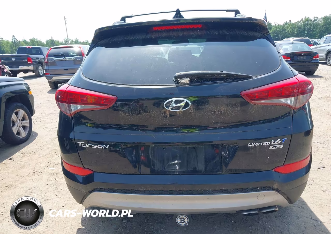 2017 Hyundai Tucson Limited VIN:KM8J3CA25HU303384 - 12