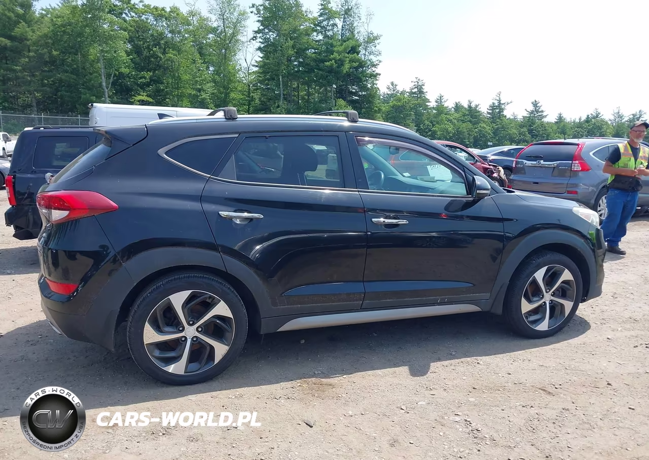 2017 Hyundai Tucson Limited VIN:KM8J3CA25HU303384 - 14