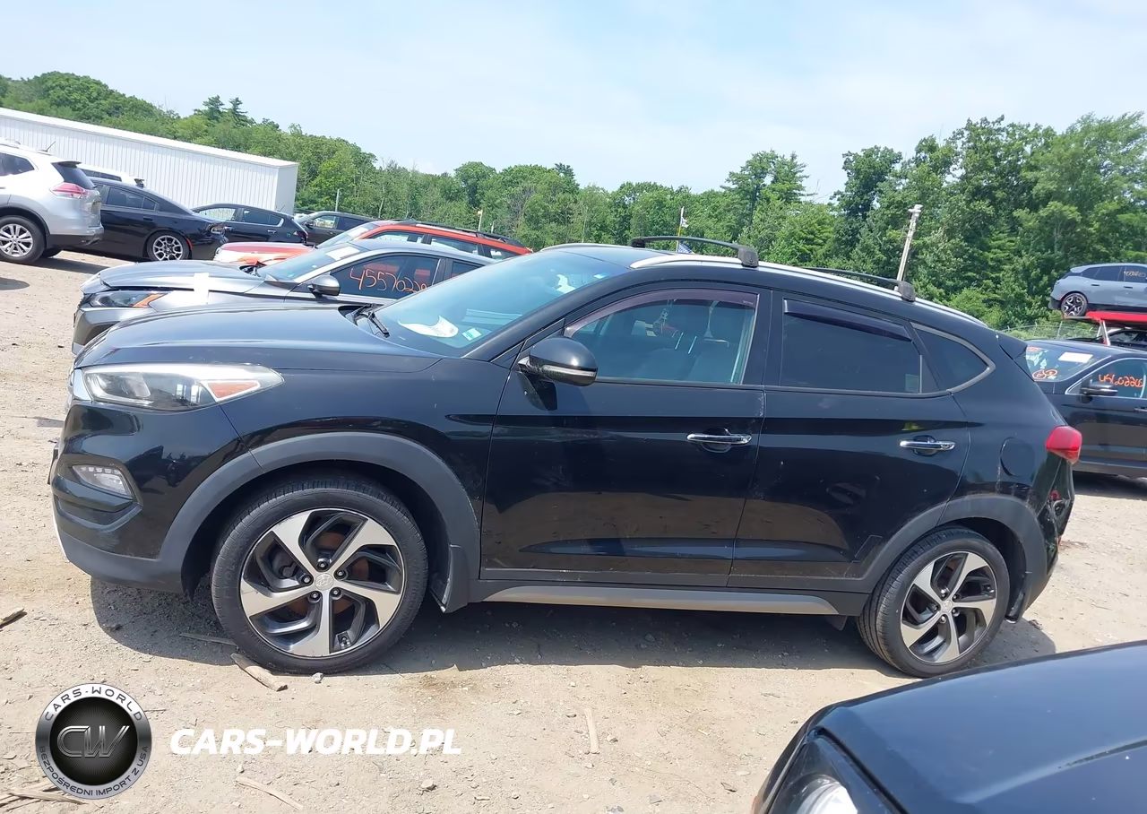 2017 Hyundai Tucson Limited VIN:KM8J3CA25HU303384 - 15