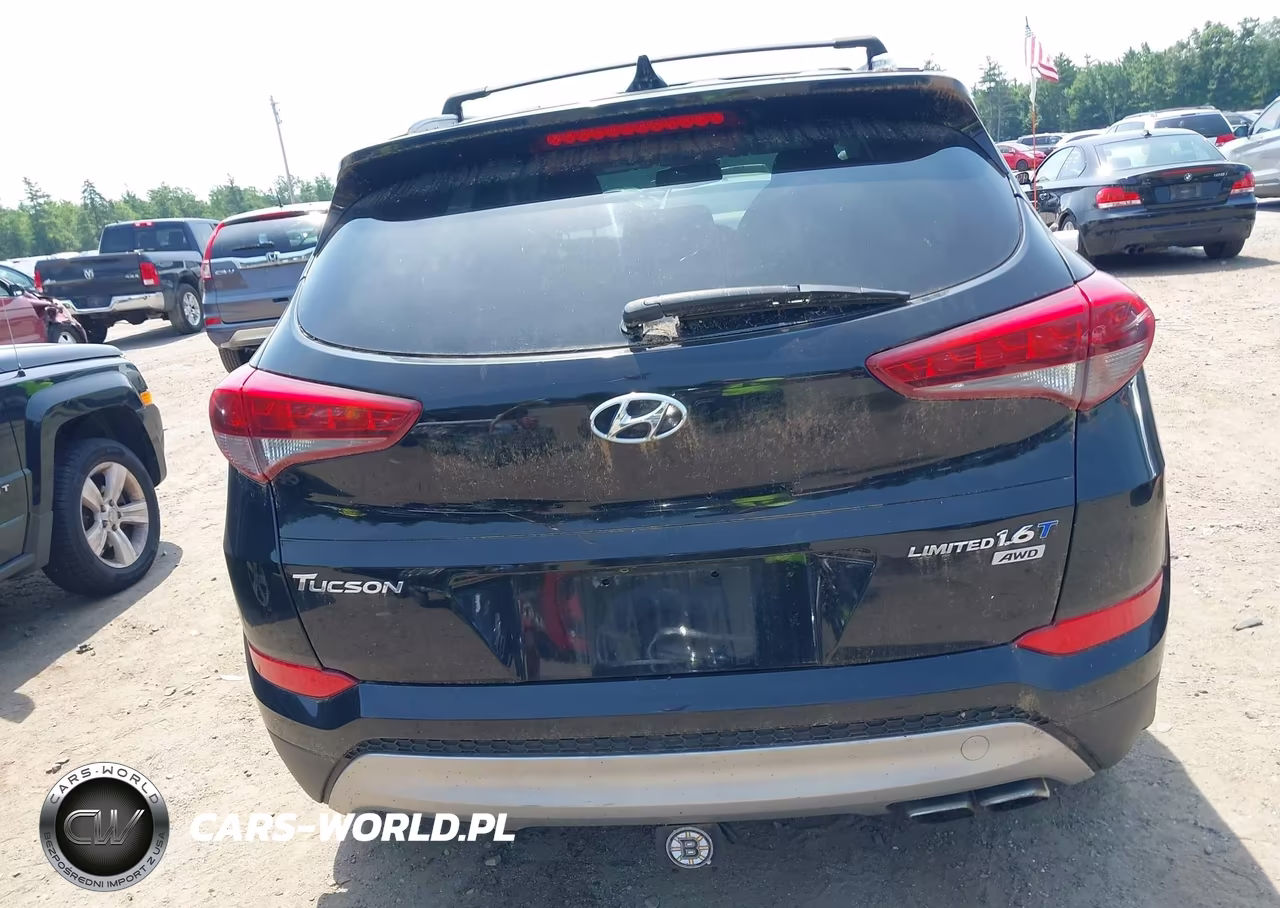 2017 Hyundai Tucson Limited VIN:KM8J3CA25HU303384 - 17