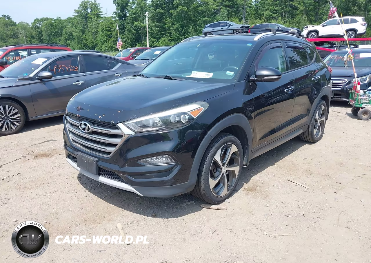 2017 Hyundai Tucson Limited VIN:KM8J3CA25HU303384 - 2