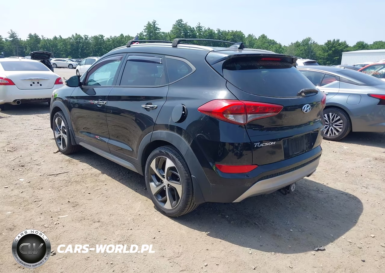 2017 Hyundai Tucson Limited VIN:KM8J3CA25HU303384 - 3