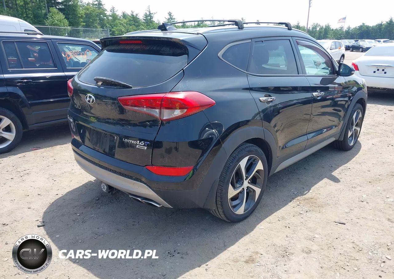 2017 Hyundai Tucson Limited VIN:KM8J3CA25HU303384 - 4