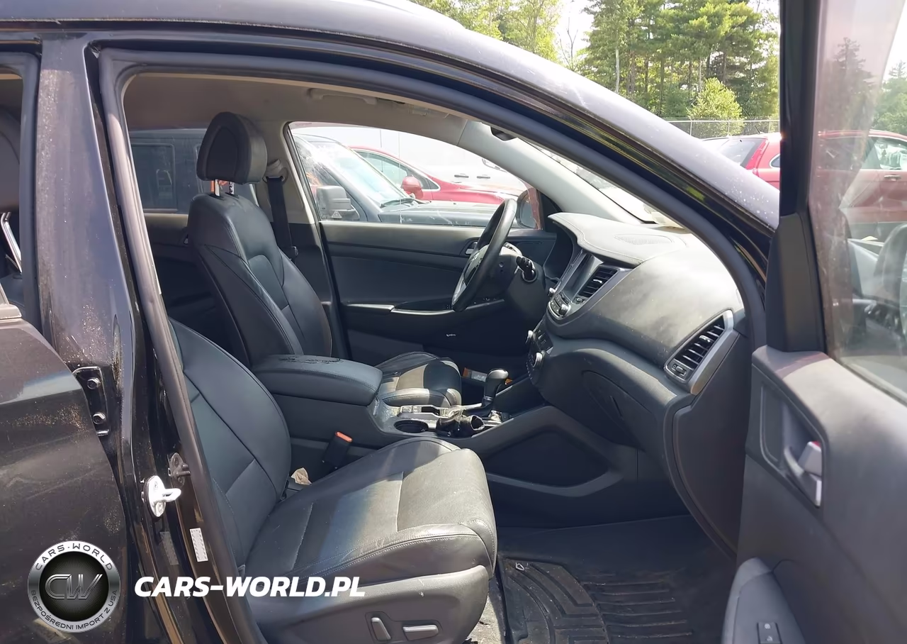 2017 Hyundai Tucson Limited VIN:KM8J3CA25HU303384 - 5