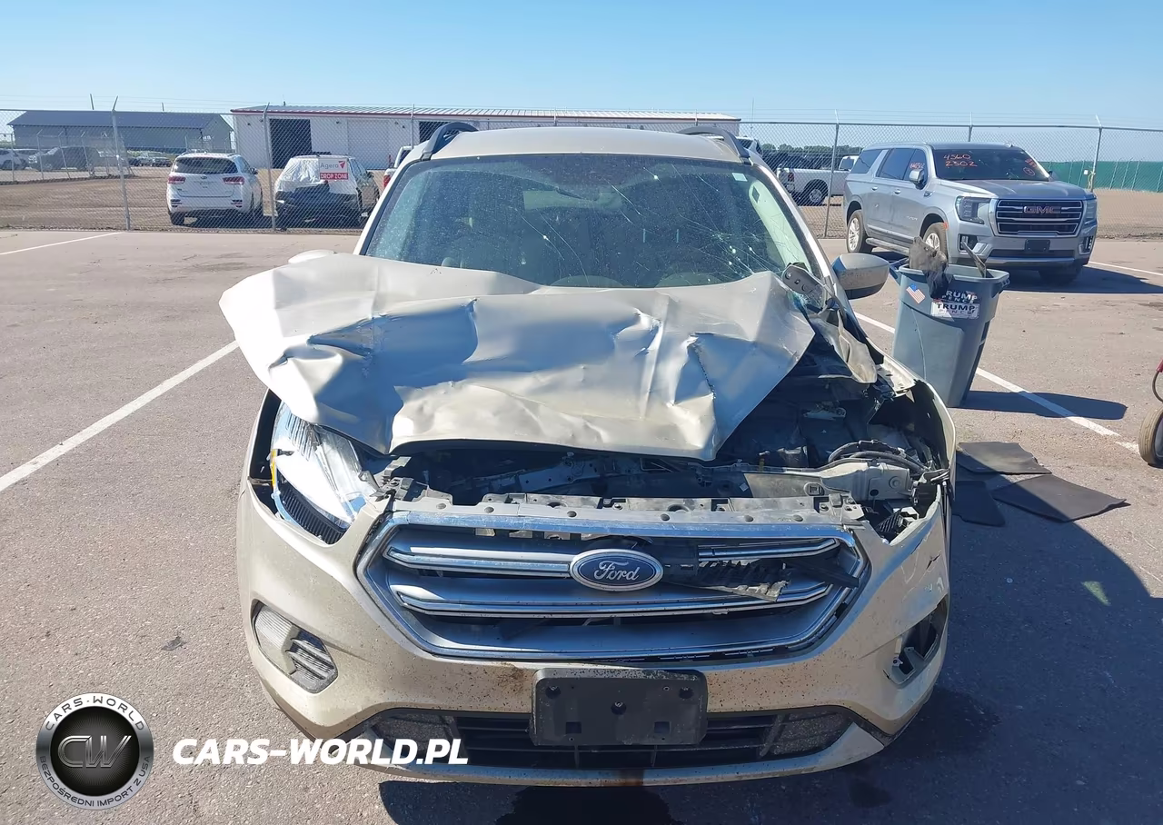 2017 Ford Escape Se VIN:1FMCU9G97HUC56744 - 12