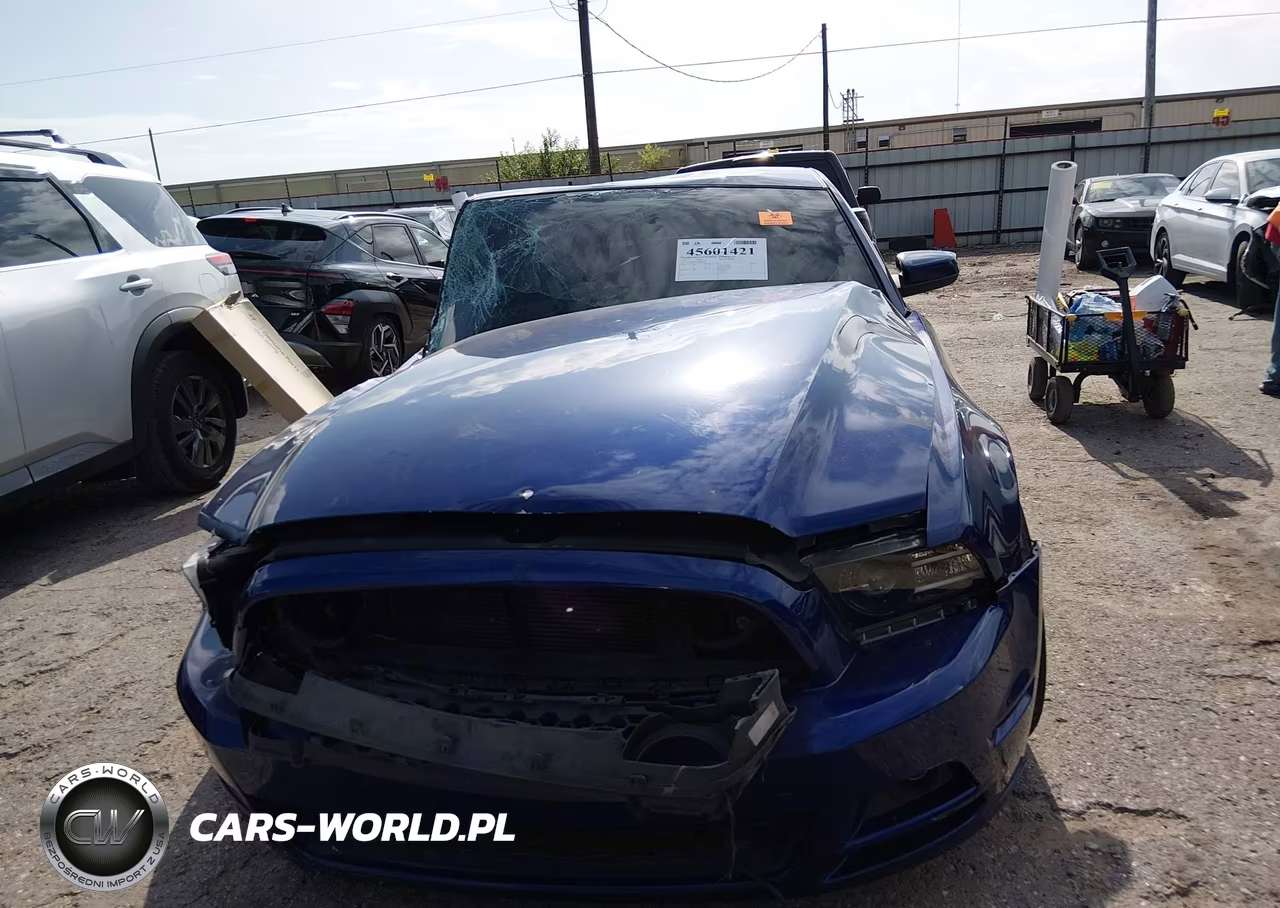 2013 Ford Mustang V6 Premium VIN:1ZVBP8AM2D5274472 - 13