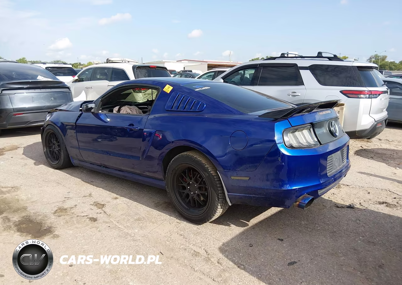 2013 Ford Mustang V6 Premium VIN:1ZVBP8AM2D5274472 - 3
