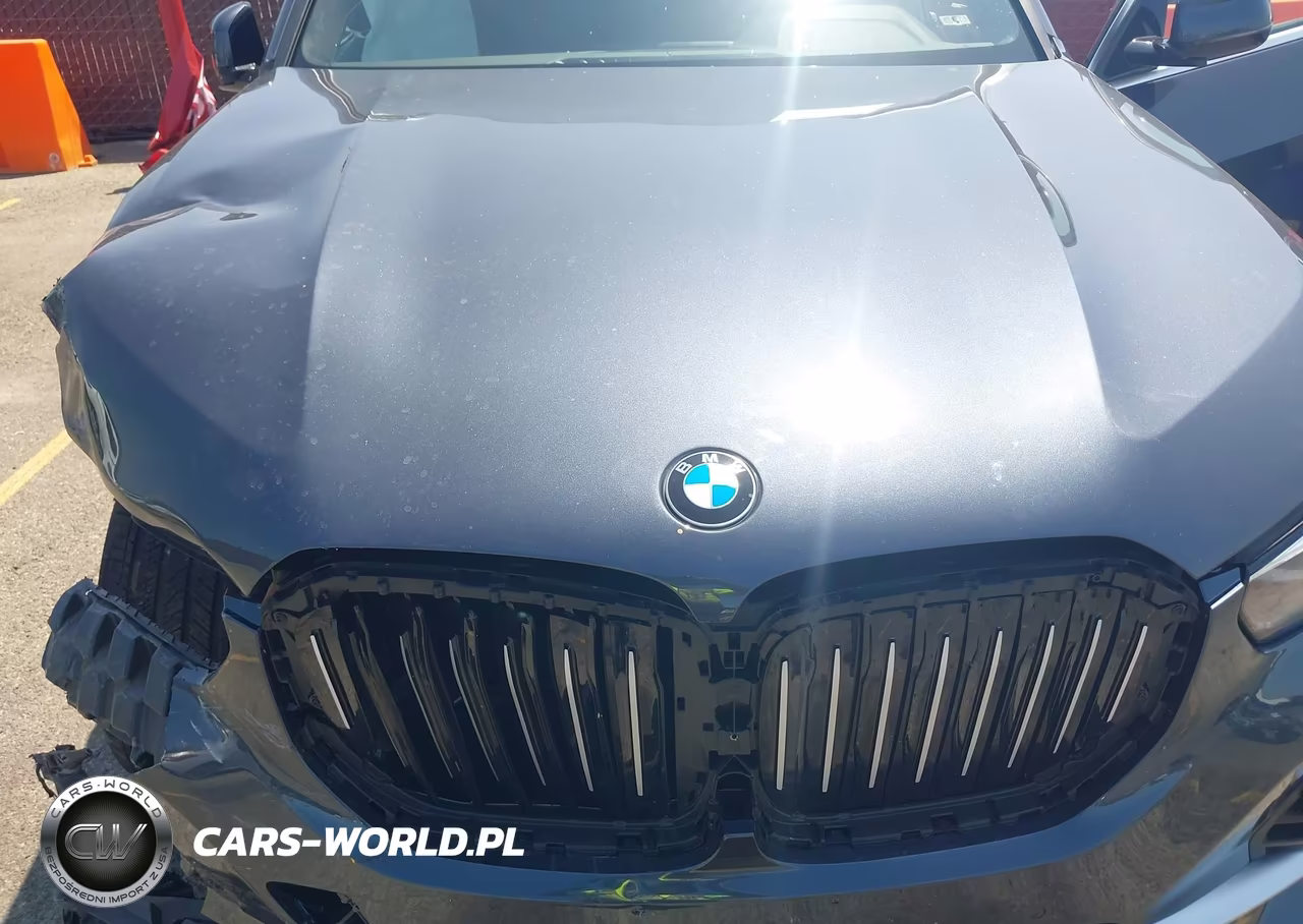 2021 BMW X5 Sdrive40I VIN:5UXCR4C07M9F09625 - 10
