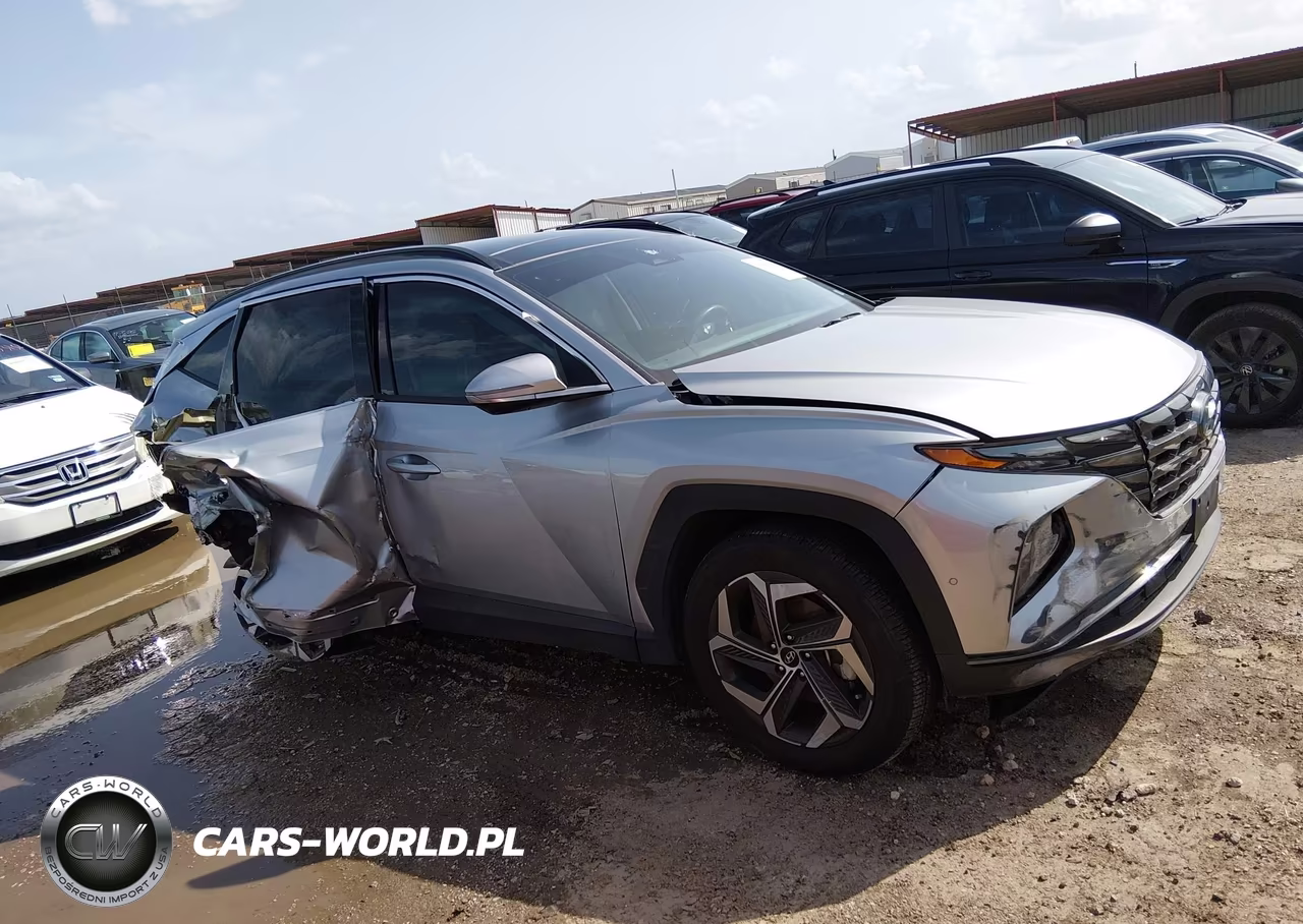 2024 Hyundai Tucson Limited VIN:5NMJE3DE5RH336950 - 14