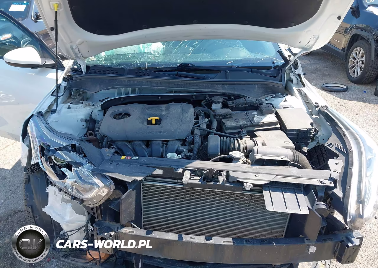 2019 Kia Forte Lxs VIN:3KPF24AD2KE047117 - 10