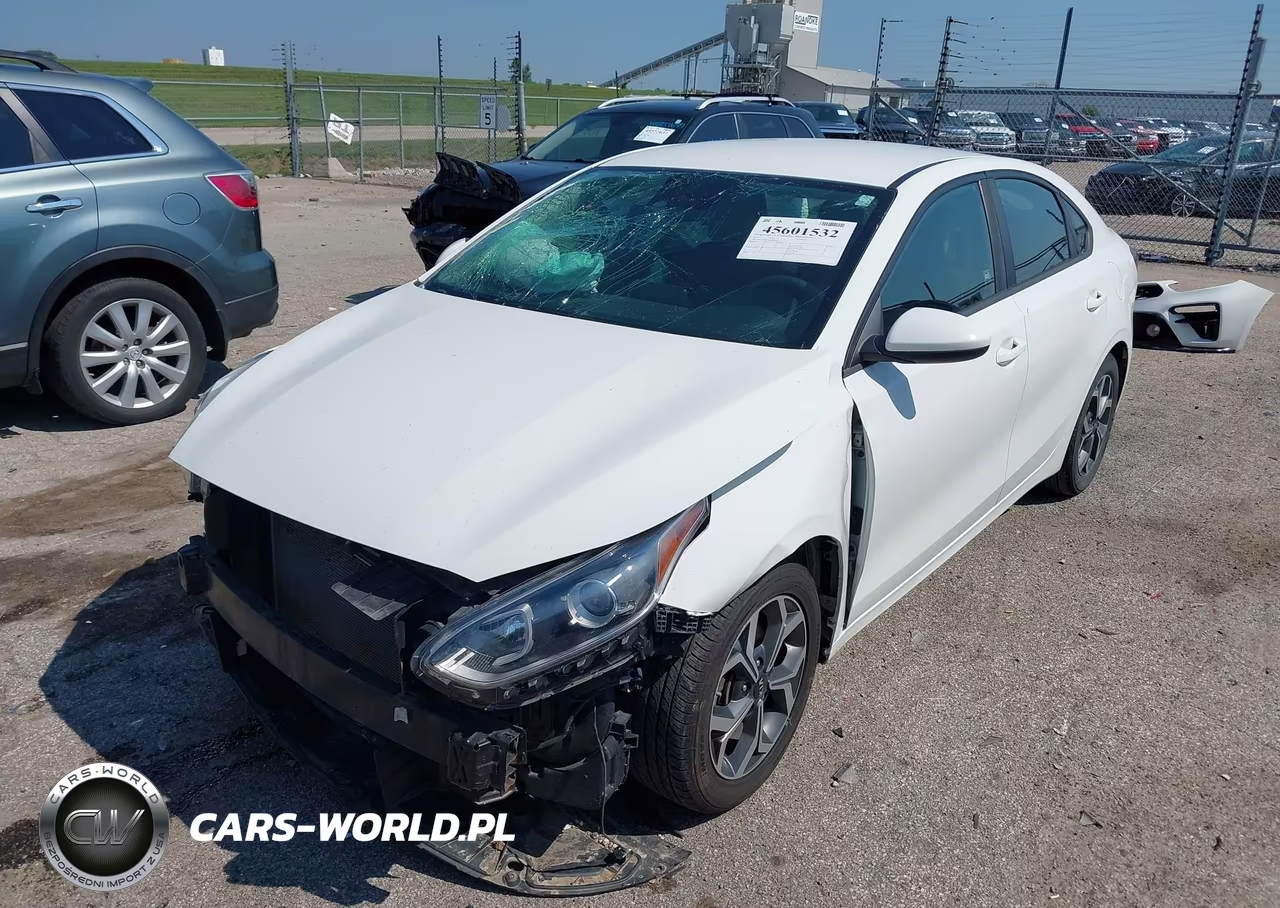 2019 Kia Forte Lxs VIN:3KPF24AD2KE047117 - 2