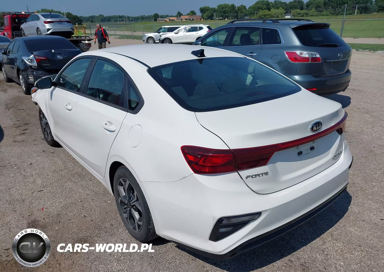 2019 Kia Forte Lxs VIN:3KPF24AD2KE047117 - 3