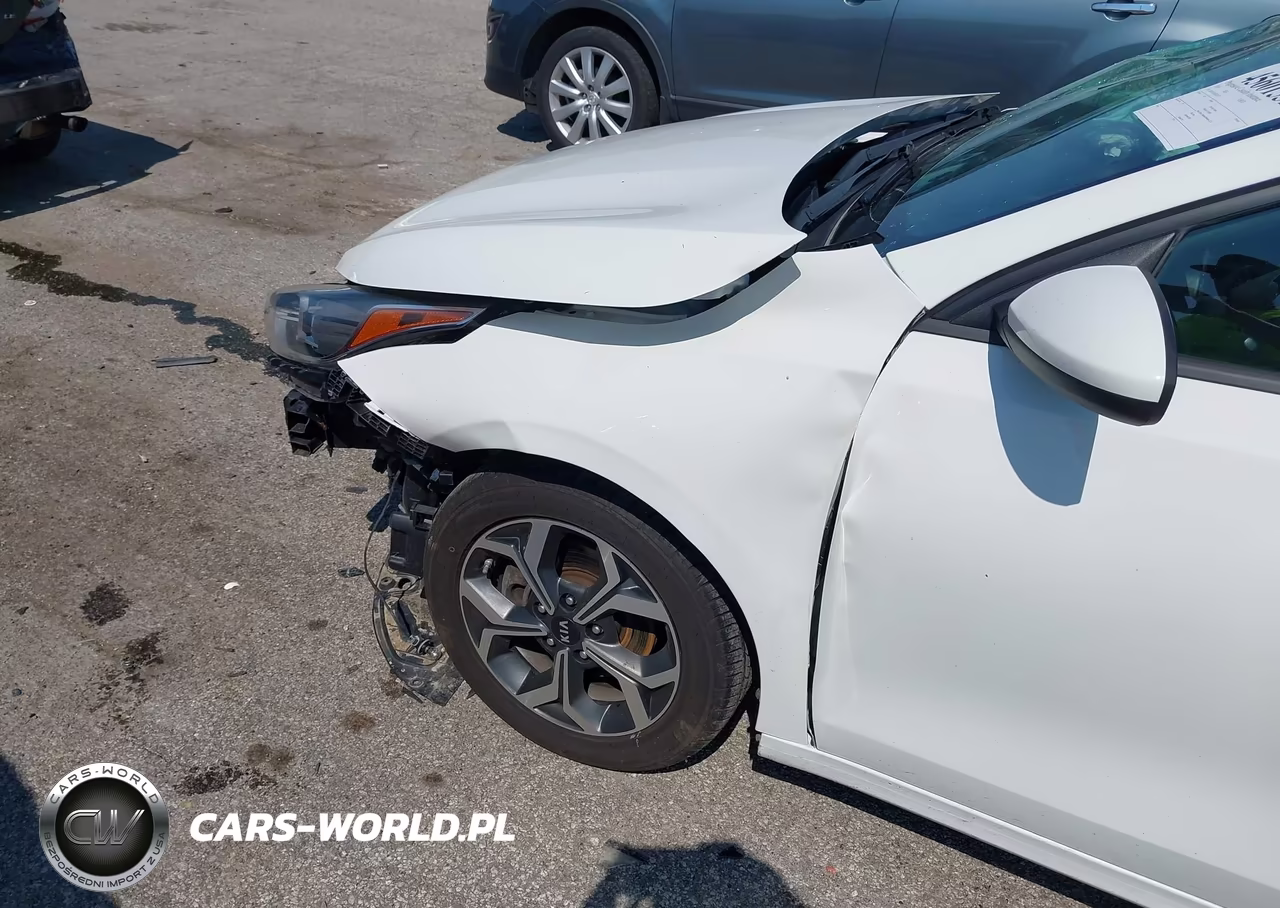 2019 Kia Forte Lxs VIN:3KPF24AD2KE047117 - 6