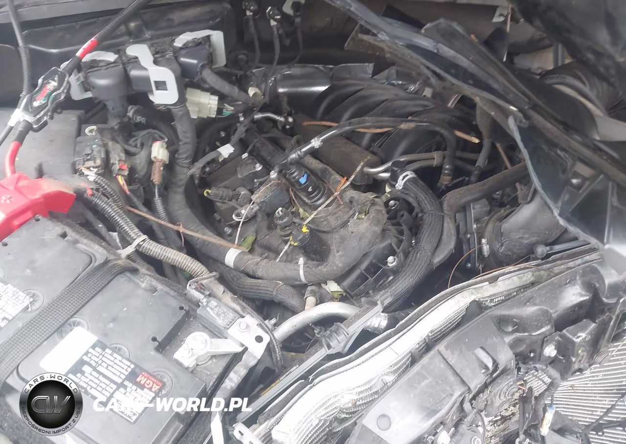 2024 Ford F-150 Xlt VIN:1FTFW3L5XRKE22117 - 10
