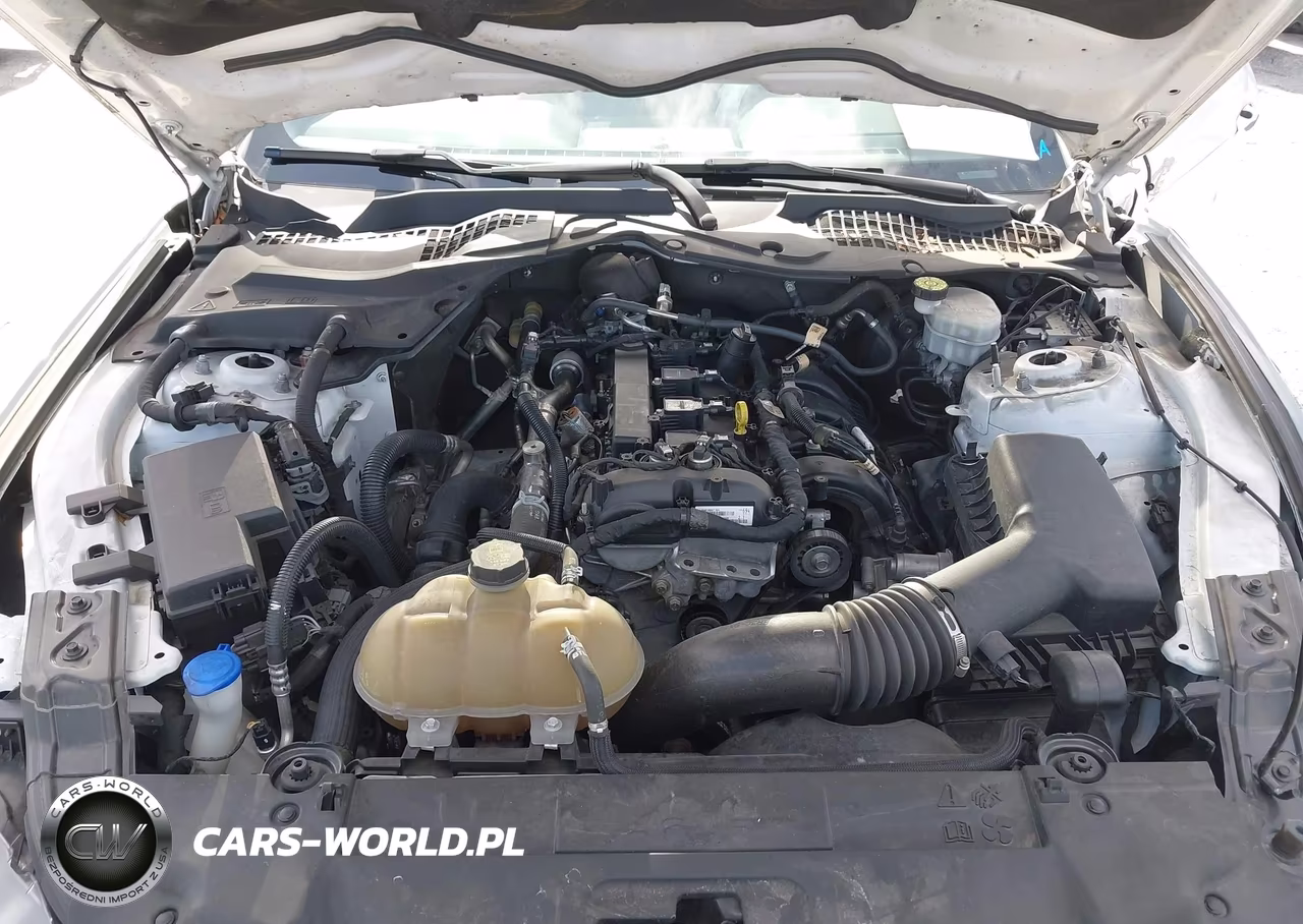2021 Ford Mustang Ecoboost Fastback VIN:1FA6P8TH2M5128065 - 10