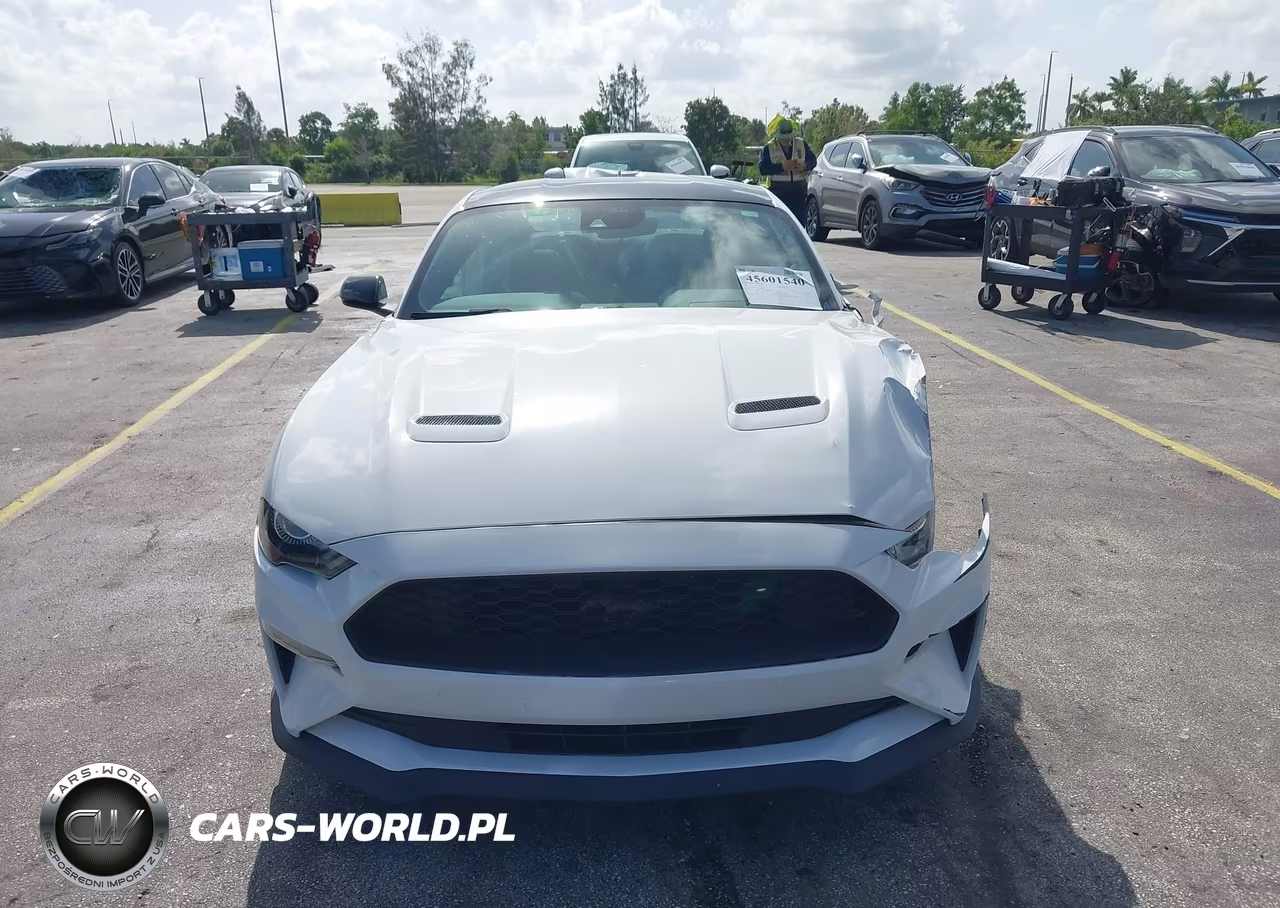 2021 Ford Mustang Ecoboost Fastback VIN:1FA6P8TH2M5128065 - 12