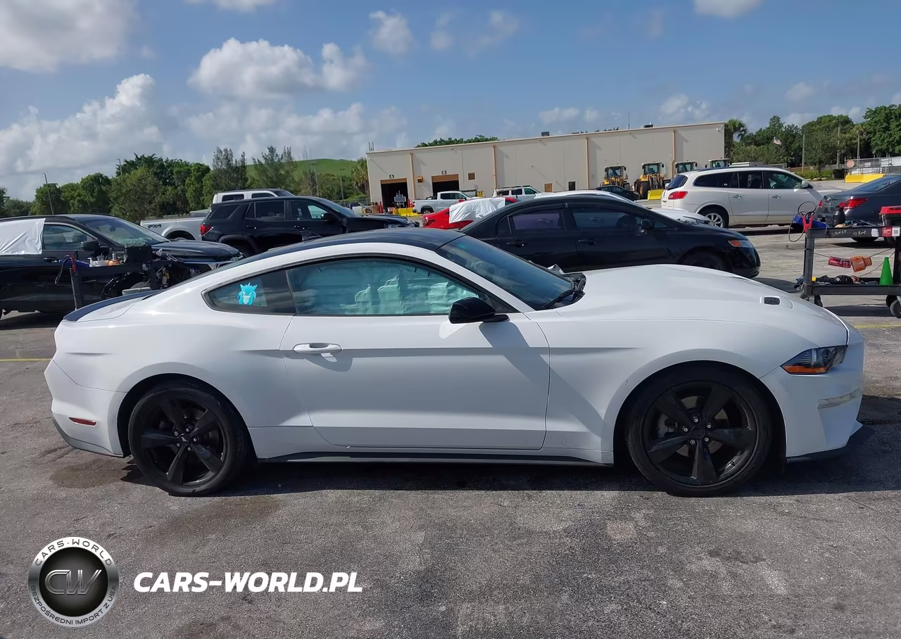2021 Ford Mustang Ecoboost Fastback VIN:1FA6P8TH2M5128065 - 13