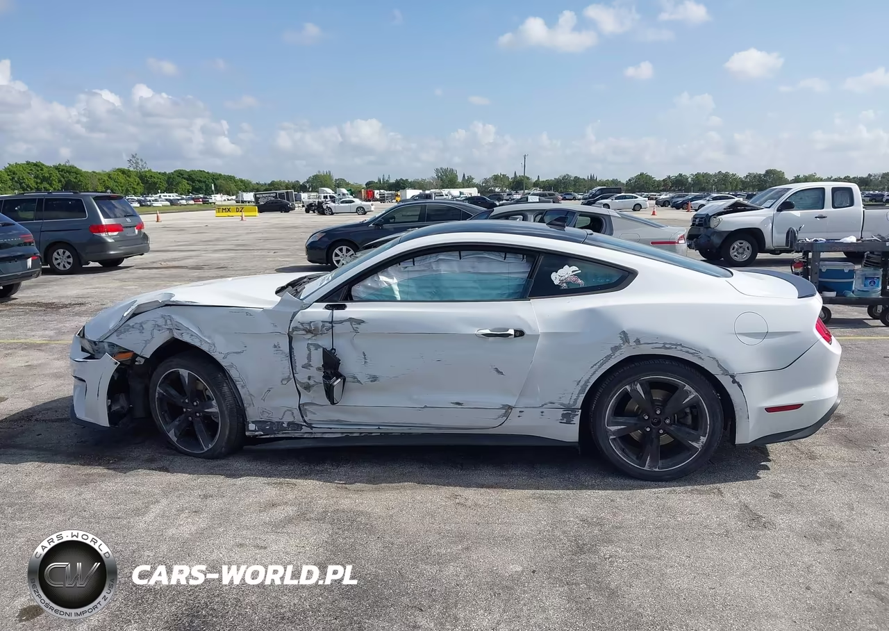 2021 Ford Mustang Ecoboost Fastback VIN:1FA6P8TH2M5128065 - 14