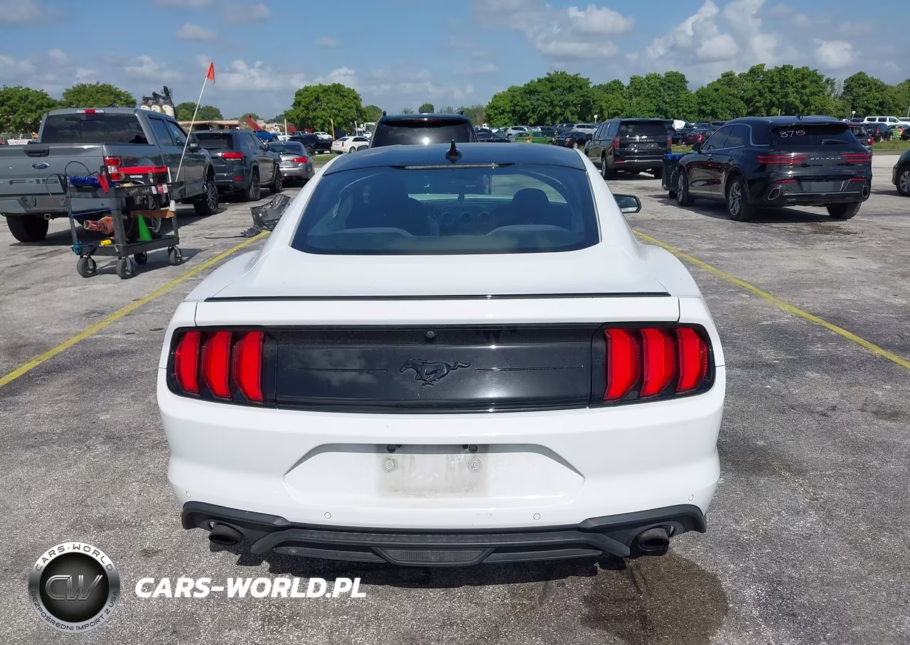 2021 Ford Mustang Ecoboost Fastback VIN:1FA6P8TH2M5128065 - 16