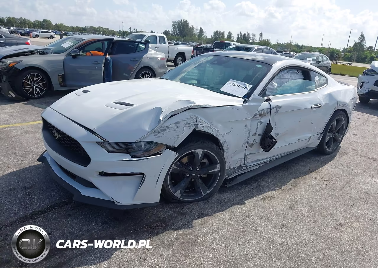2021 Ford Mustang Ecoboost Fastback VIN:1FA6P8TH2M5128065 - 2