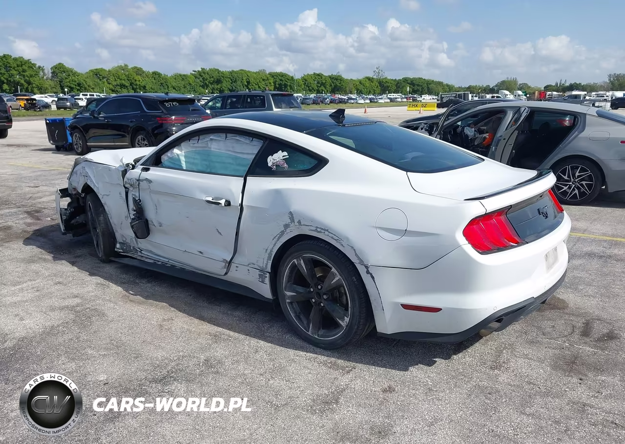 2021 Ford Mustang Ecoboost Fastback VIN:1FA6P8TH2M5128065 - 3