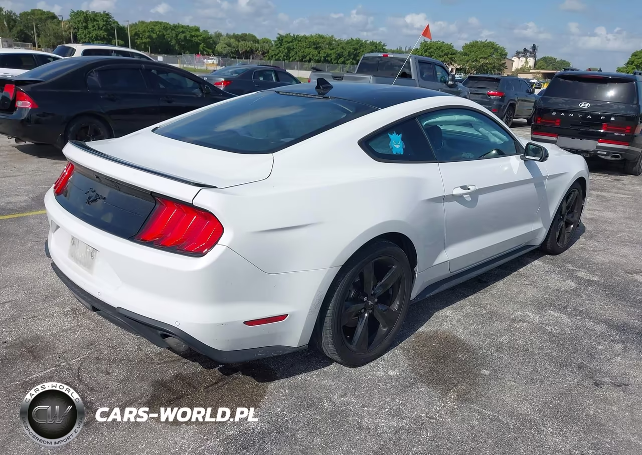 2021 Ford Mustang Ecoboost Fastback VIN:1FA6P8TH2M5128065 - 4