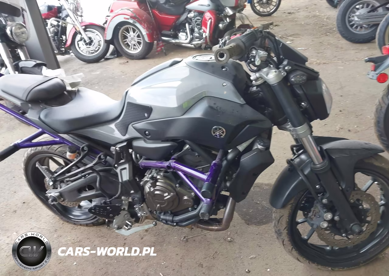 2015 Yamaha Fz07 VIN:JYARM06E9FA005209 - 12