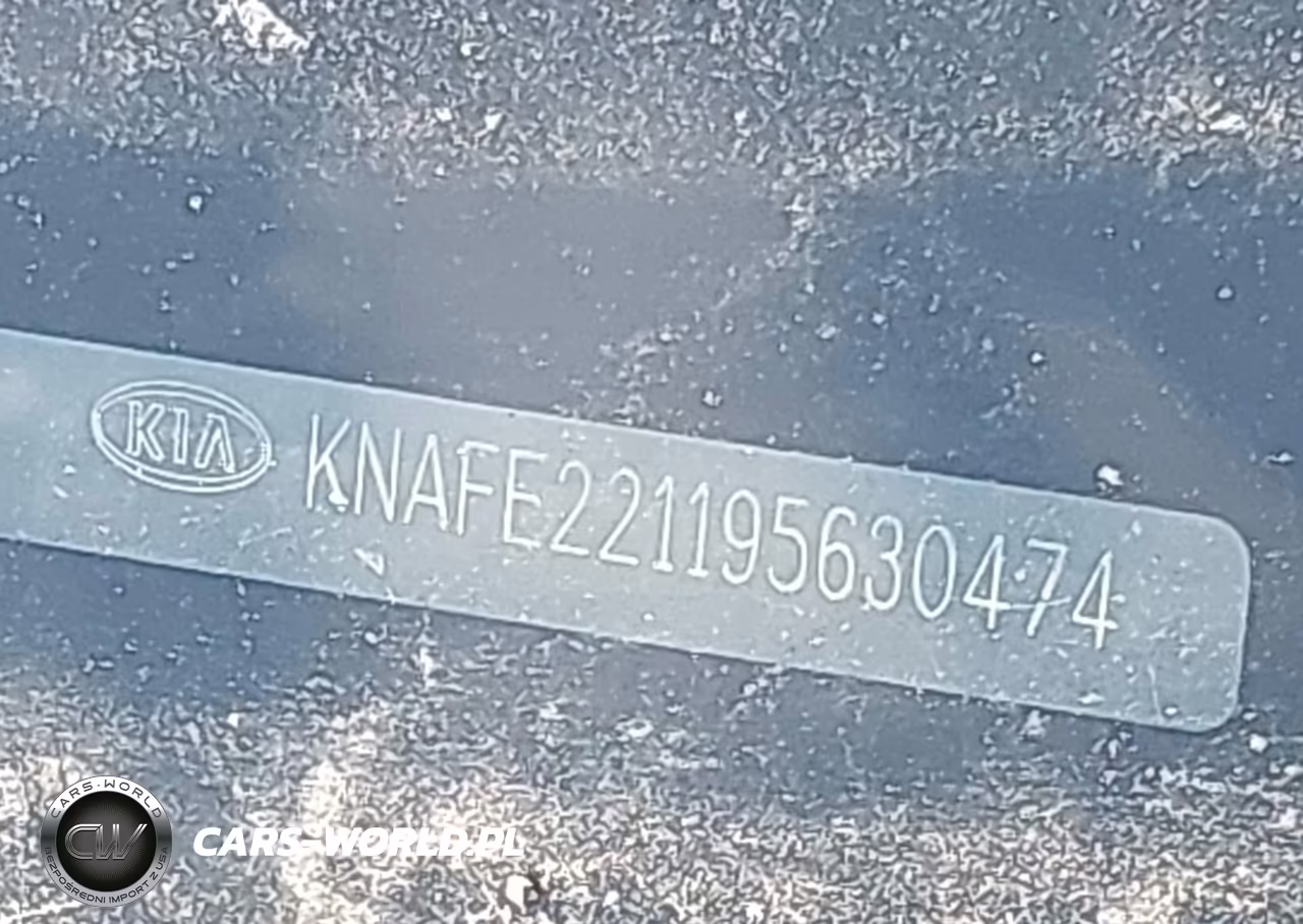 2009 Kia Spectra Lx VIN:KNAFE221195630474 - 9