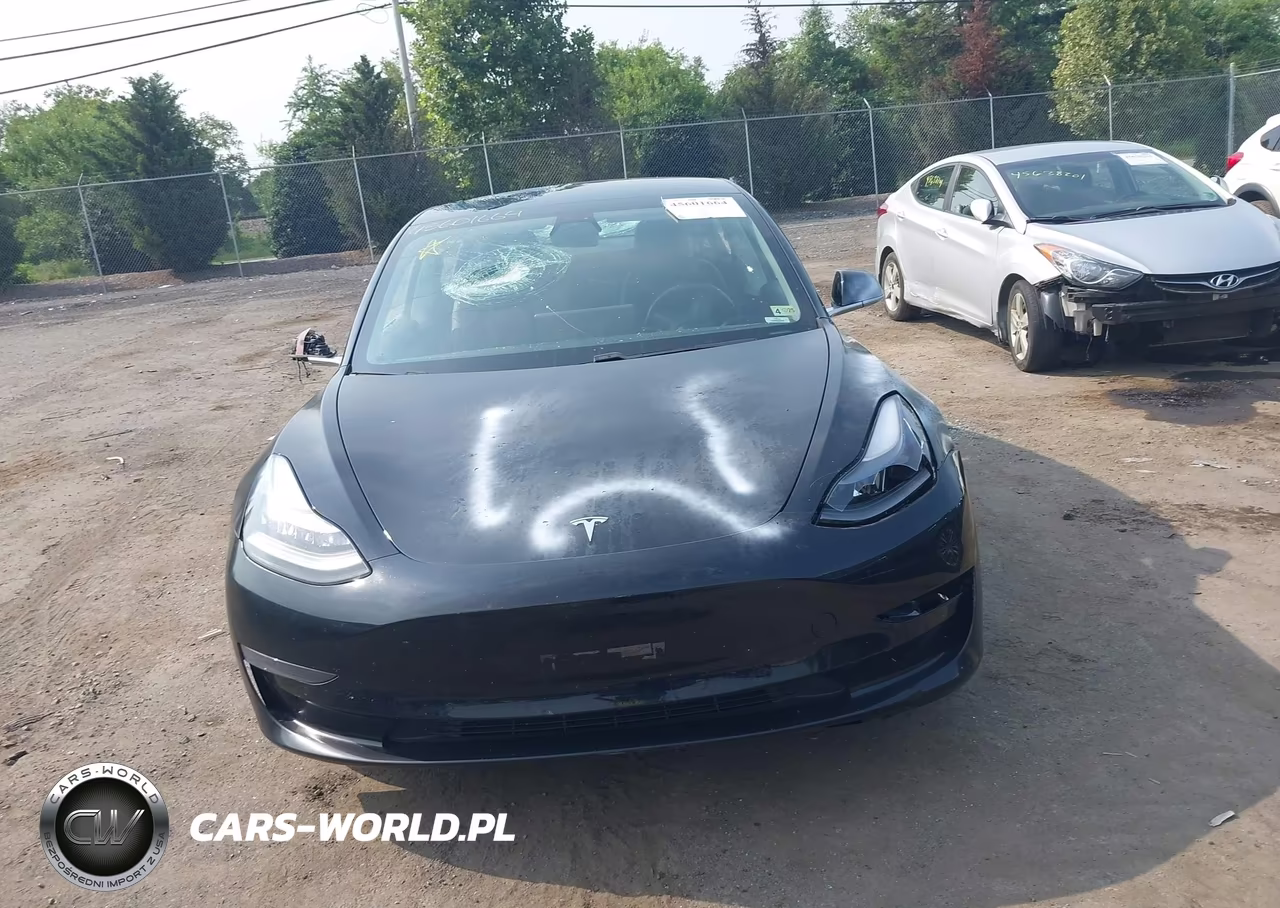 2019 Tesla Model 3 Long Range-Mid Range-Standard Range-Standard Range Plus VIN:5YJ3E1EA5KF362013 - 10