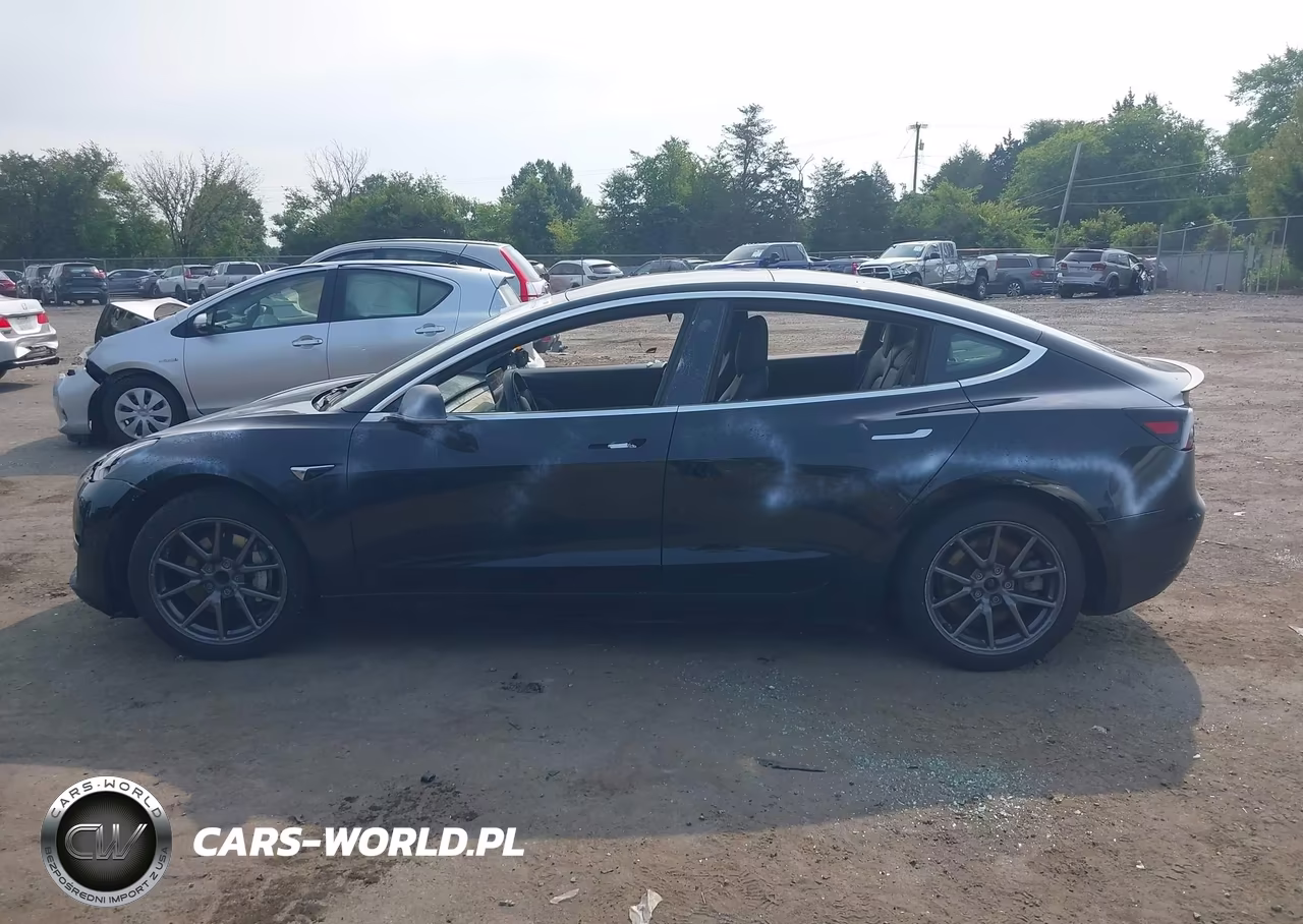 2019 Tesla Model 3 Long Range-Mid Range-Standard Range-Standard Range Plus VIN:5YJ3E1EA5KF362013 - 12
