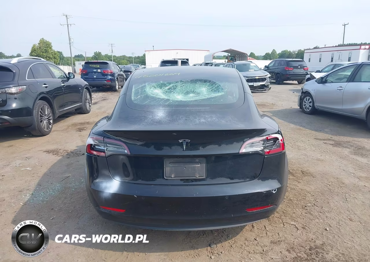 2019 Tesla Model 3 Long Range-Mid Range-Standard Range-Standard Range Plus VIN:5YJ3E1EA5KF362013 - 14
