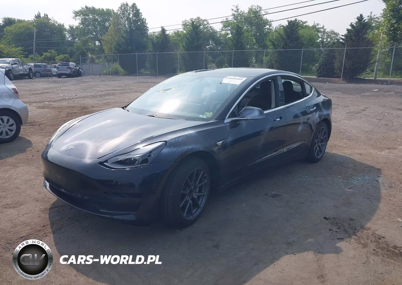 2019 Tesla Model 3 Long Range-Mid Range-Standard Range-Standard Range Plus VIN:5YJ3E1EA5KF362013 - 2