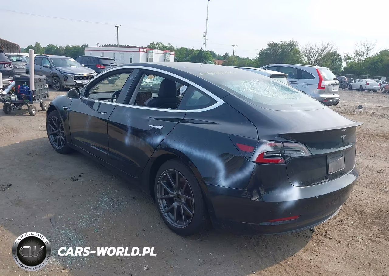 2019 Tesla Model 3 Long Range-Mid Range-Standard Range-Standard Range Plus VIN:5YJ3E1EA5KF362013 - 3