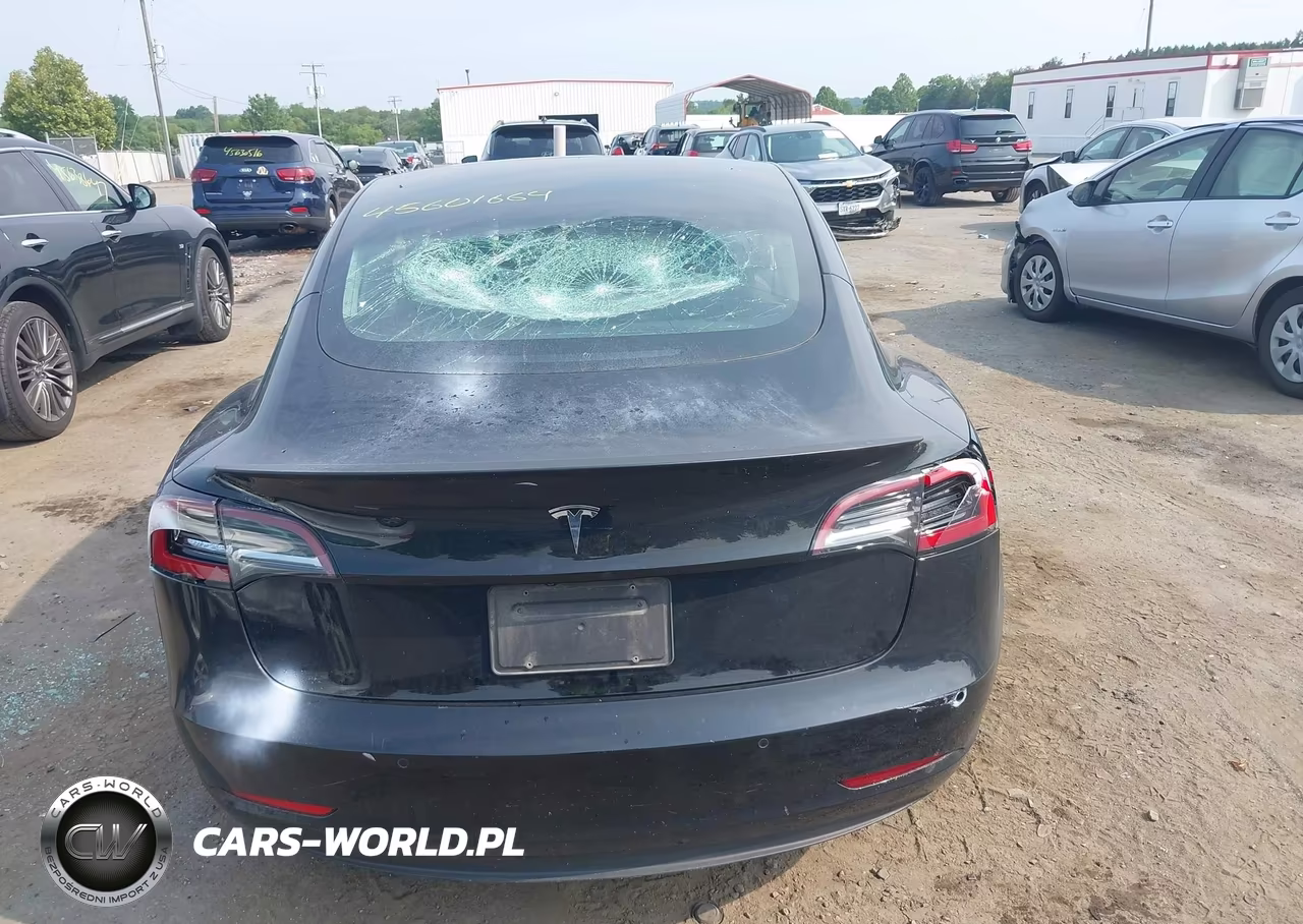 2019 Tesla Model 3 Long Range-Mid Range-Standard Range-Standard Range Plus VIN:5YJ3E1EA5KF362013 - 6