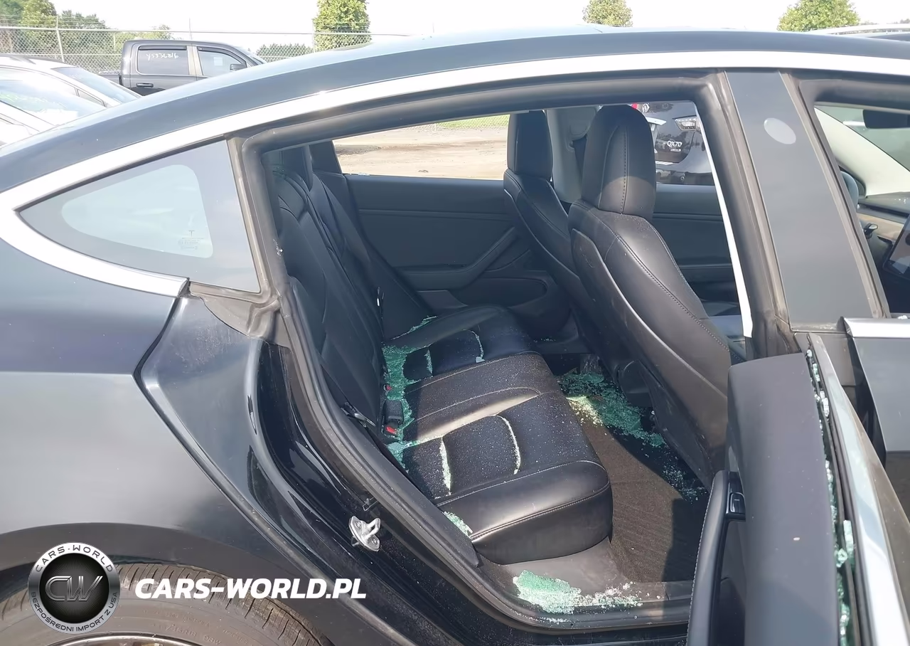 2019 Tesla Model 3 Long Range-Mid Range-Standard Range-Standard Range Plus VIN:5YJ3E1EA5KF362013 - 8