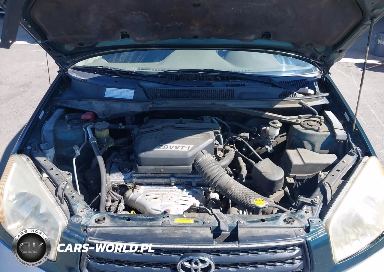 2003 Toyota Rav4 VIN:JTEGH20VX30117390 - 10